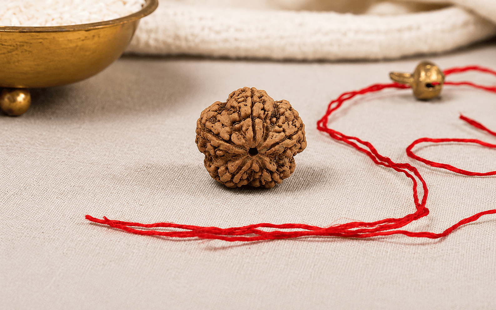 5 Mukhi Rudraksha