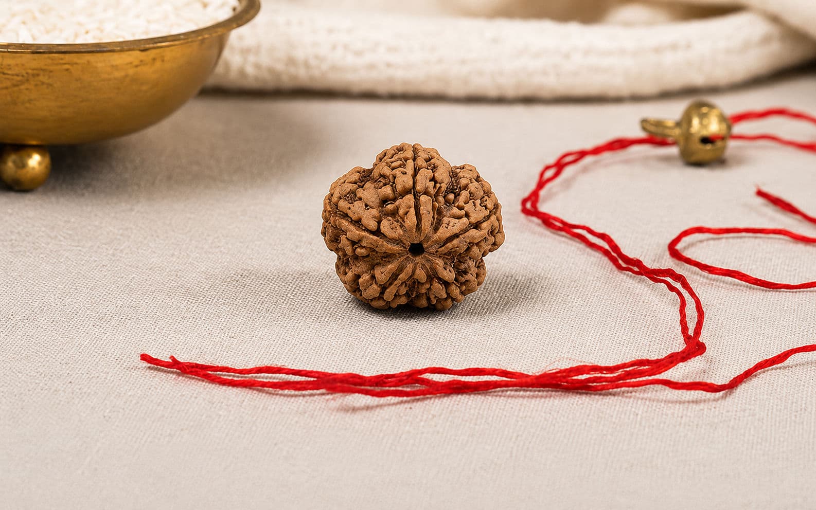 Natural 5 Mukhi Rudraksha (Nepali)