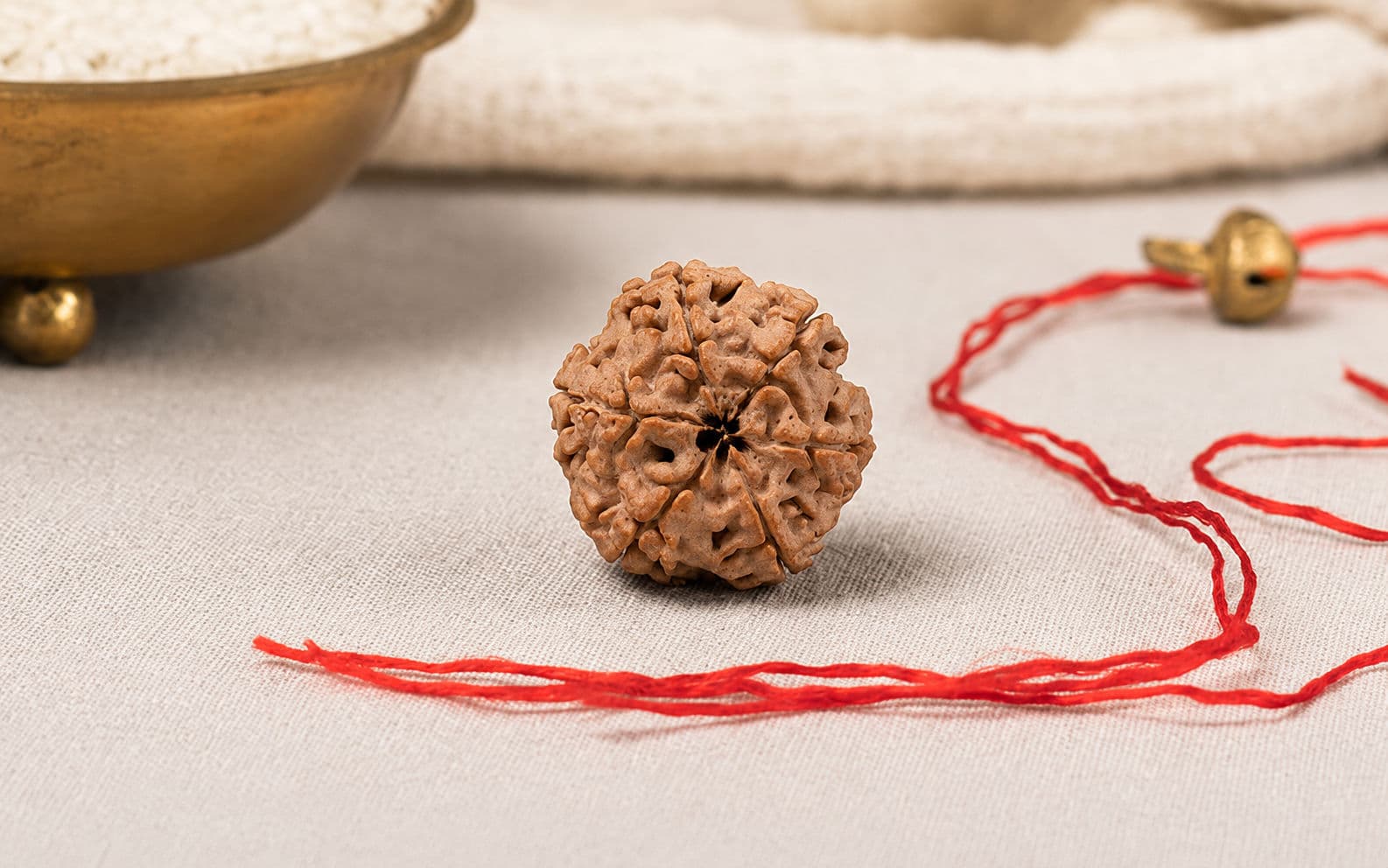Natural 6 Mukhi Rudraksha (Nepali)